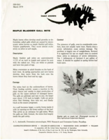 Maple bladder gall mite