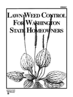 Lawn weed control for Washington state homeowners
