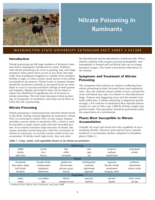 Nitrate poisoning in ruminants