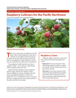 Raspberry cultivars for the Pacific Northwest