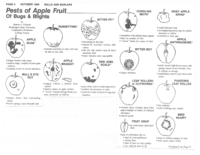 Bugs and Blights, October 1985