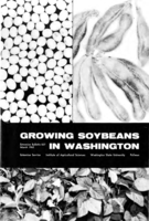 Growing soybeans in Washington