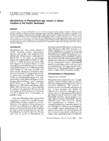 Identification of Phytophthora spp. known to Attack Conifers in the Pacific Northwest
