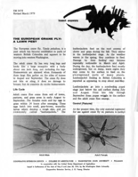 Insect answers: The European crane fly - A lawn pest