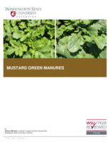 Mustard green manures