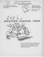 Repairing damaged trees