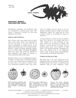 Protect berry-pollinating bees