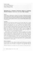 Rhodamine B: A Systemic Fluorescent Marker for Studying Mountain Beavers (Aplodontia  rufa) and other Animals