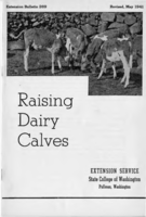 Raising dairy calves