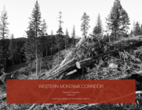 Western Montana Corridor: Regional Capacity (Vol. 2)