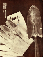 Pest control in home vegetable gardens