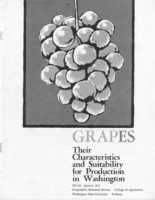 Grapes: Their characteristics and suitability for production in Washington