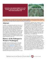 Season-long management of late blight on potato and tomato in Western Washington
