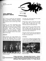 Root weevils on berry crops