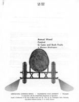 Annual weed control in cane and bush fruits in western Washington