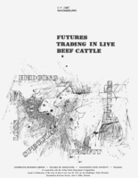 Futures trading in live beef cattle
