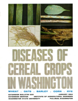 Diseases of cereal crops in Washington: Wheat, oats, barly, corn, rye