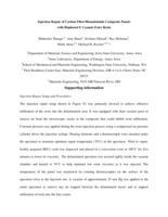 Injection repair of carbon fiber/bismaleimide composite panels with bisphenol E cyanate ester resin