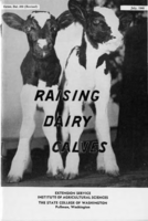 Raising dairy calves