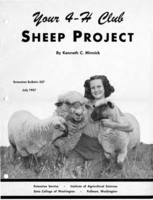 Your 4-H club sheep project