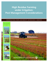 High residue farming under irrigation: Pest management considerations