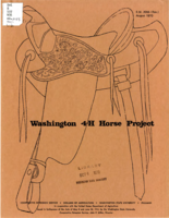 Washington 4-H horse project