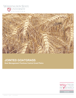 Jointed goatgrass best management practices (BMP): Central Great Plains