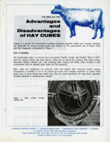 Advantages and disadvantages of hay cubes