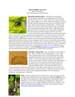 Bugs and Blights, October 2011