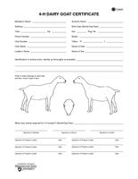 4-H Dairy Goat Certificate