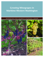 Growing winegrapes in maritime Western Washington