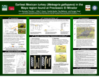Earliest Mexican Turkey (Meleagris gallopavo) in the Maya region found at Preclassic El Mirador