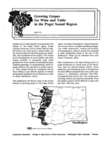 Growing grapes for wine and table in the Puget Sound region