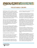 WSU Drought Advisory: Vegetable Crops