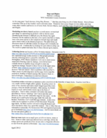 Bugs and Blights, April 2012