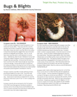 Bugs and Blights, March 2016