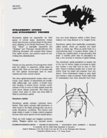 Strawberry aphids and strawberry viruses