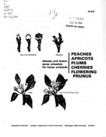 Disease and insect spray program for home gardens: Peaches, apricots, plums, cherries, flowering prunus