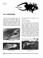 Fall webworm