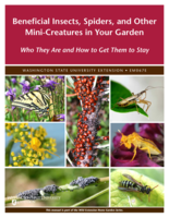 Beneficial insects, spiders, and other mini-creatures in your garden: Who they are and how to get them to stay