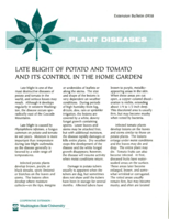 Plant diseases: Late blight of potato and tomato and its control in the home garden