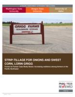 Strip-tillage for onions and sweet corn : Lorin Grigg : Farmer-to-Farmer Case Study Series : Increasing Resilience Among Farmers in the Pacific Northwest