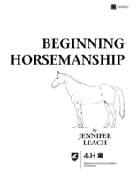 Beginning horsemanship