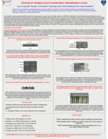 Stem rust spores elicit rapid RPG1 phosphorylation
