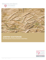 Jointed Goatgrass: Best management practices southern Great Plains