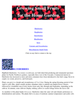 Growing Small Fruits in the Home Garden