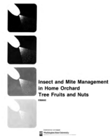 Insect and mite control in home orchard tree fruits and nuts