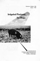 Irrigated pastures for hogs
