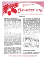 Cranberry Vine, January 2008