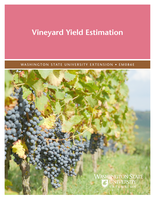 Vineyard yield estimation